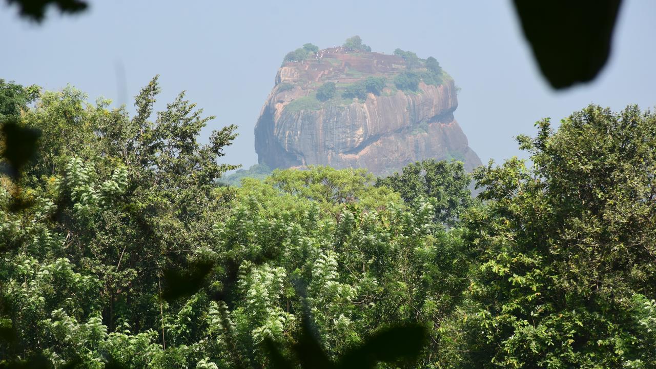 Sigiri Sarilco Rock View Treehouse Villa Sigiriya Bagian luar foto