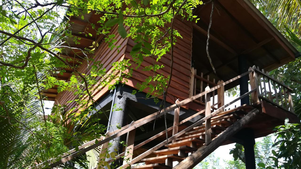 Sigiri Sarilco Rock View Treehouse Villa Sigiriya Bagian luar foto
